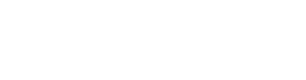 Partner 4